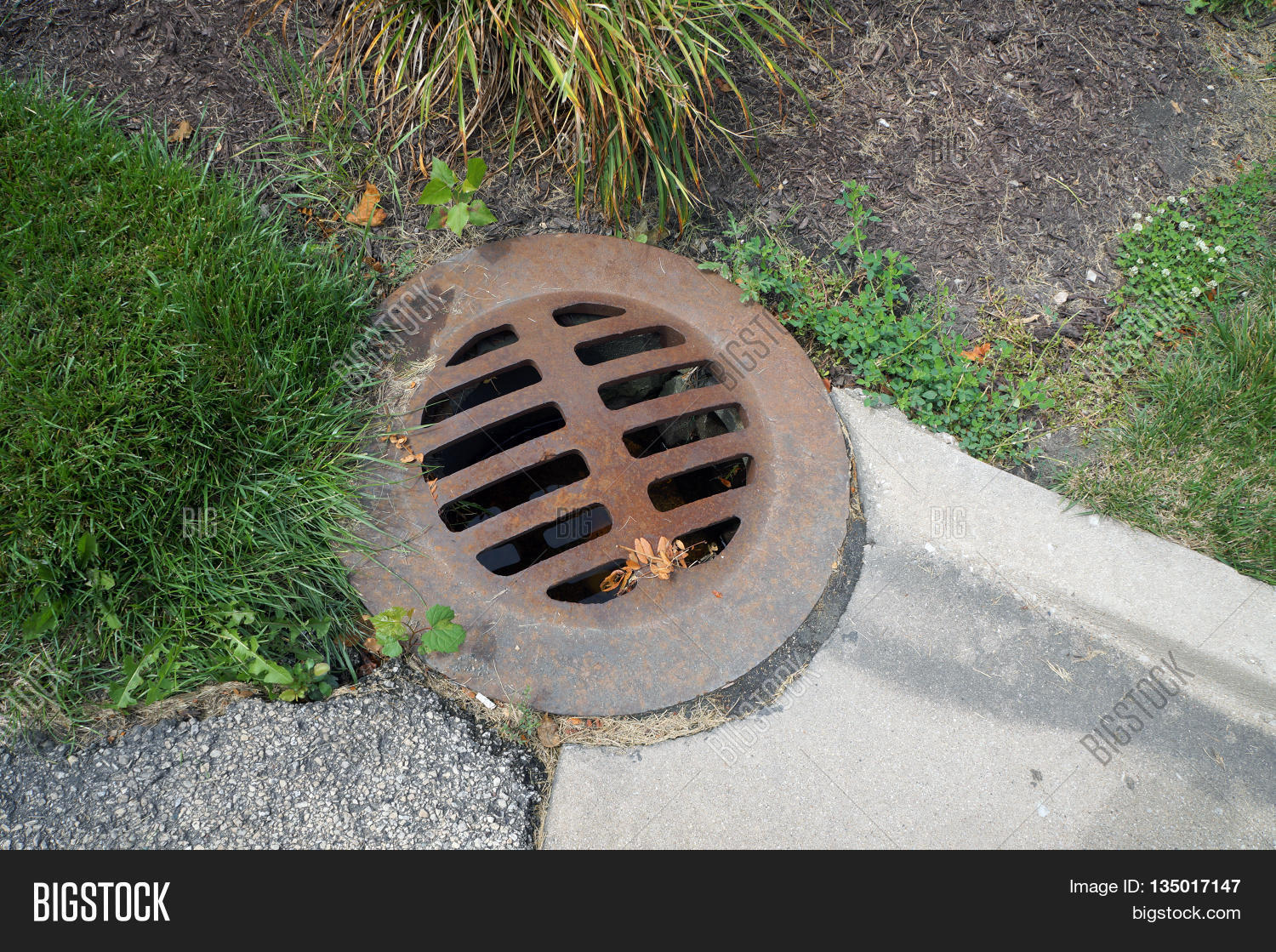 Iron Storm Drain Cover Image & Photo (Free Trial) Bigstock