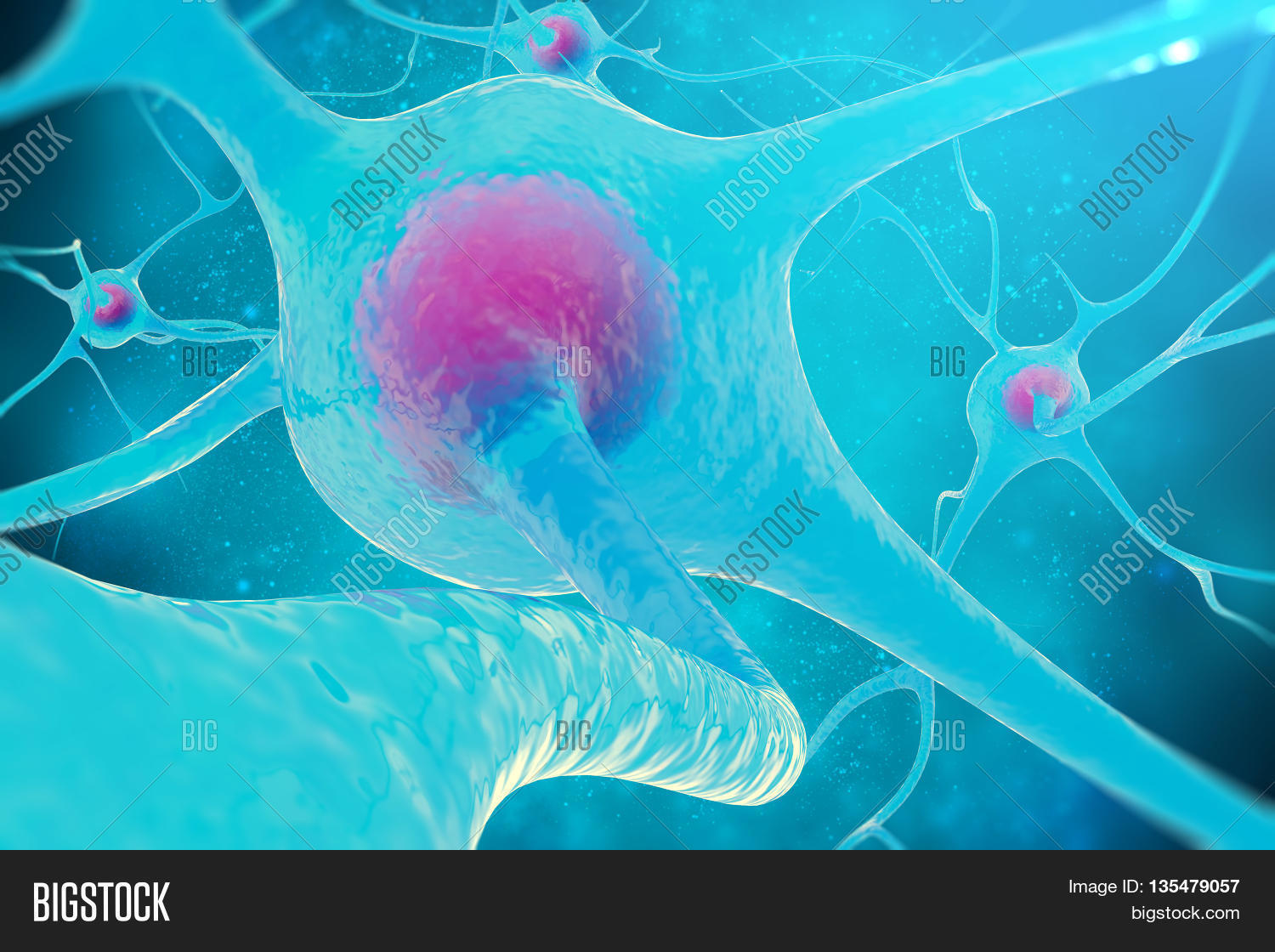 Neural Network, Brain Image & Photo (Free Trial) Bigstock