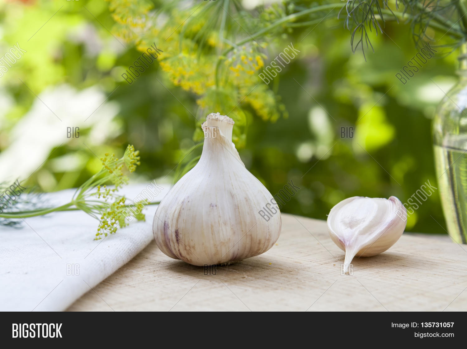 Fresh Garlic Dill On Image & Photo (Free Trial) Bigstock