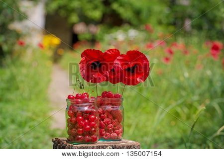 frash raspbery and cherry in a glass jar stay on the stump with the poppies