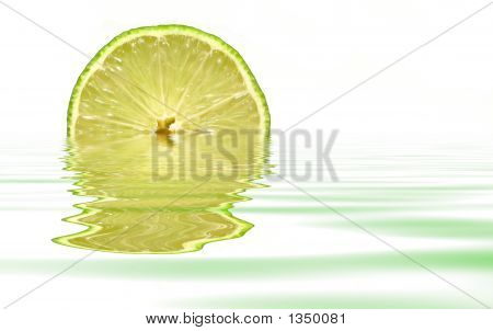 Calce con riflesso d'acqua 