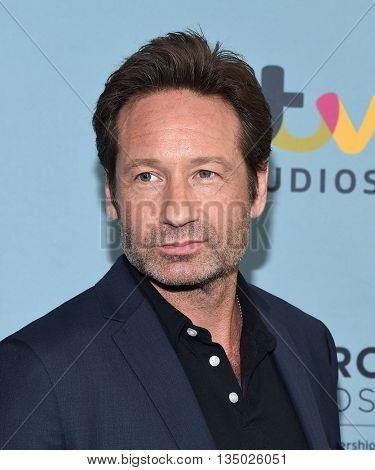 LOS ANGELES - JUN 16:  David Duchovny arrives to the 