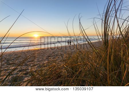 Papamoa beach thorugh the marram beach grass looking into sunrise with two small unidentifiable walkers in distance.