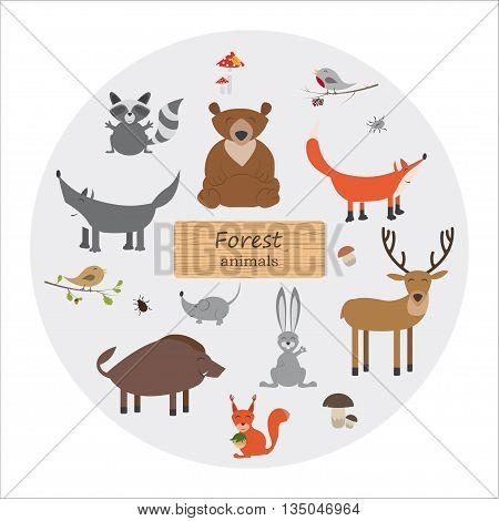 Forest animals in cartoon style on white background. Forest animals set. Wildlife collection. Vector illustration