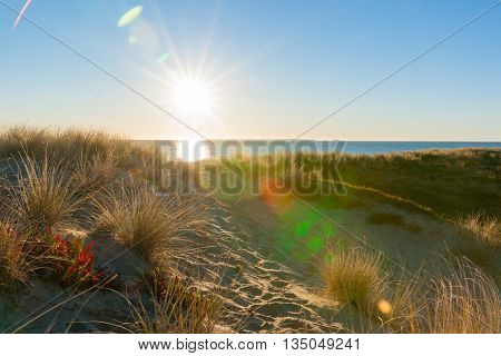 Lens flare created as sun bursts over sea and sand dune at Papamoa beach