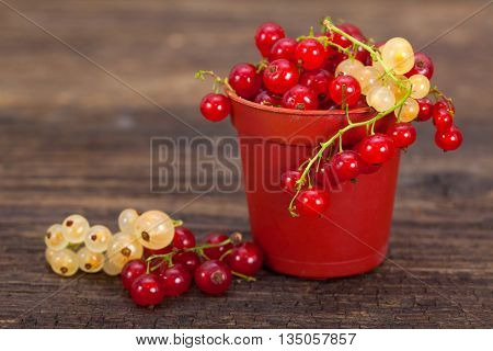 Berries. Fresh ripe currant berries. Red currant. White currant.