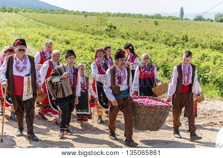 Rose Picking Festival