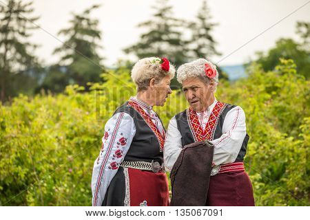 Rose Picking Festival