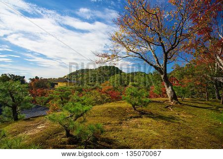 Kinkakuji Temple By Top View In Kyoto