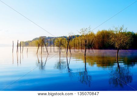 beautiful lake view in morning fog with mystic mountains and trees as leftovers of a mole in purple - blue tones. Slovakia Central Europe region Liptov