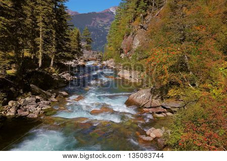 Rapid mountain stream of coniferous forests. Pastoral in the Alpine mountain valley in Austria. Cascades of cold water at the source of the Krimml waterfalls
