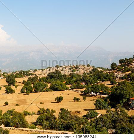 From The Hill In Asia Turkey Selge Old Architecture Ruins And Nature