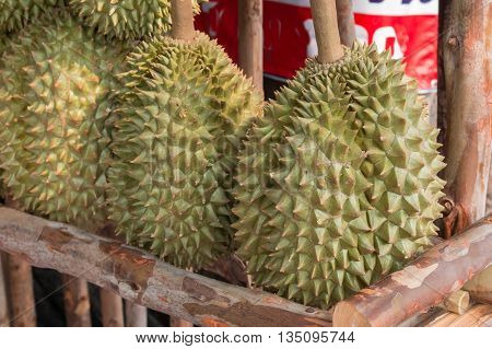 Durian, King of fruit in Thailand asian