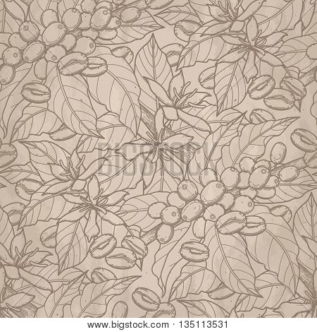 Graphic coffee beans, leaves and flowers. Vector seamless pattern in brawn colors.