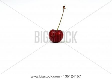 One Cherry isolated on a white background