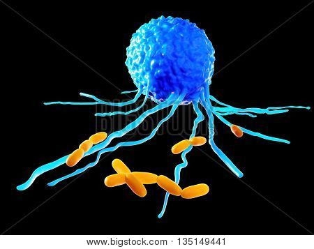 3d rendered, medically accurate 3d illustration of the leucocyte - close up
