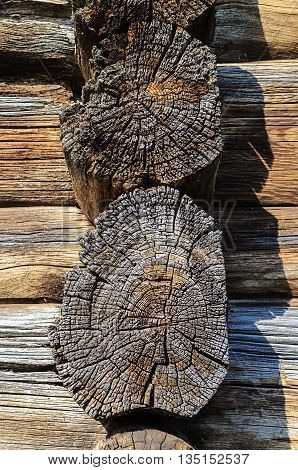Texture of weathered butt-end of old wooden cabin
