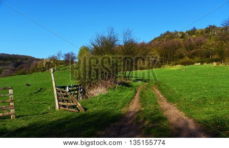 Path and hills in mountains Ceske Stredohori