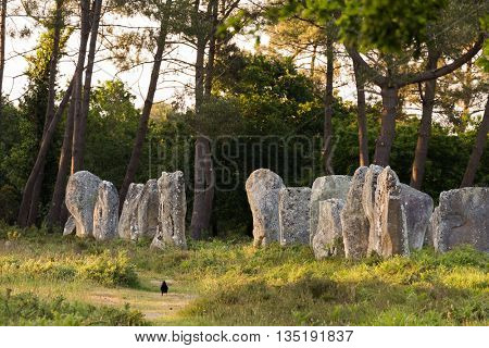 Carnac stones alignment in Brittany, France