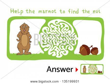 Maze puzzle for kids with Marmot and Nut. Labyrinth illustration, solution included.