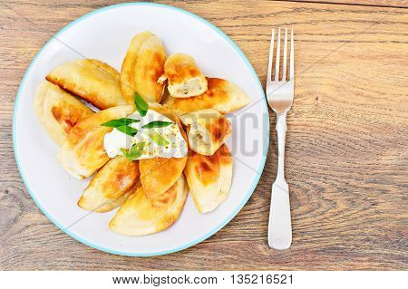 Gedza Japanese Dumplings in the Broth Studio Photo