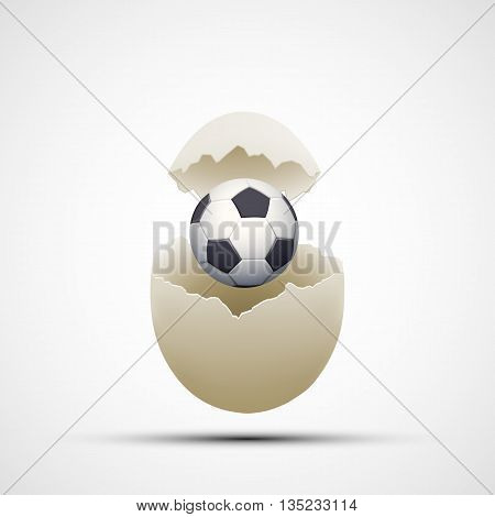 Soccer ball in a chicken egg. Stock vector illustration.