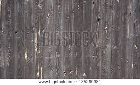 background trees wooden fence grey color on a summer day