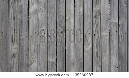 background trees texture of burned wood on a wooden fence