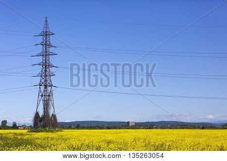 Electrical net of poles on blue sky and meadow yellow rape