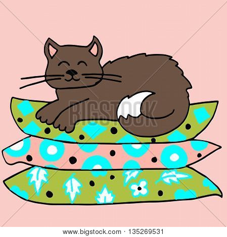 The cat sleeps on the pillow. Background