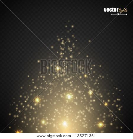 Magic light vector effect. Glow special effect light flare star and burst. Isolated spark. Vector illustration