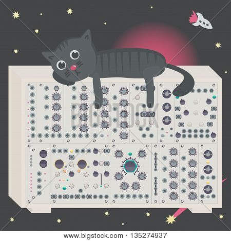 Cat on synthesizer in space with spaceship and asteroid. Vector illustration.