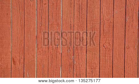 background trees  texture of the wooden fence bright red