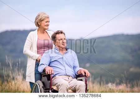 Senior Woman Pushing Man In Wheelchair, Green Autumn Nature