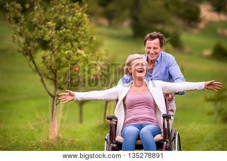 Senior Man Pushing Woman In Wheelchair, Green Autumn Nature