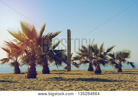 Some palm trees and a shower on a beach at the Costa Blanca at a beautiful sunny day with blue sky and orange and golden sunlight.