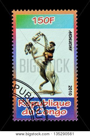 CONGO - CIRCA 2010 : Cancelled postage stamp printed by Congo, that shows Andalucian.