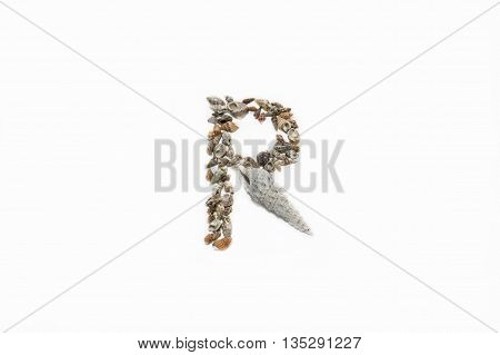 The letter R made from small seashells