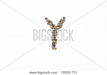 The letter 