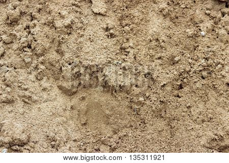 texture of a major coarse construction brown sand
