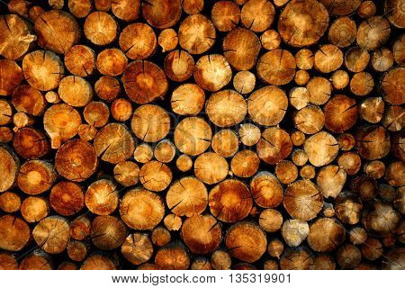 Stack of pine logs in fire pile for buring in fire place