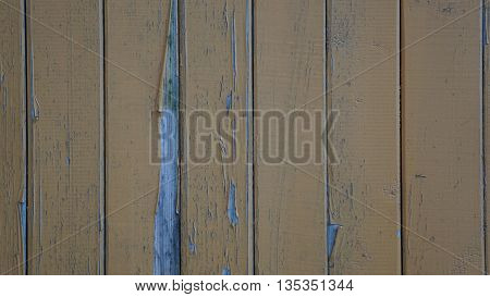 the beautiful tree texture of the wooden fence yellow light peeling paint