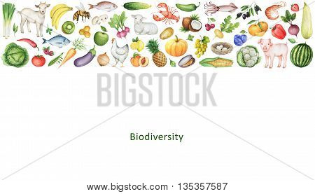 Watercolor banner of the biodiversity of healthy eating. Collection of fruits, vegetables, animals, fish and birds. Space for your text.