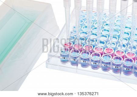 pipette test sample research test lab elisa ninety-six well plate analysis