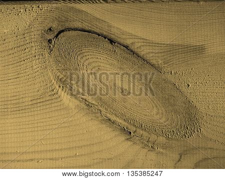 Pine Wood Background Sepia
