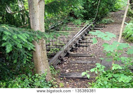 abandoned rusty rails overgrown with wild grass