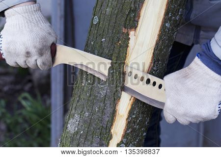 man removes the bark from a tree
