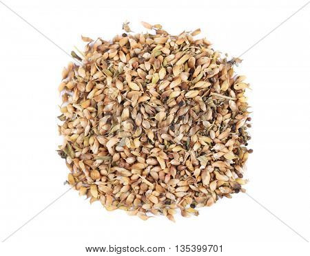 Dried utsho suneli isolated on white