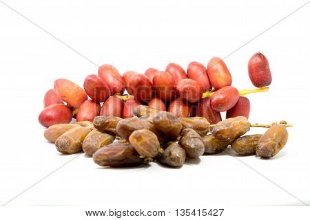 Drying Date palm fruit and Fresh Red Dates Palm Fruit isolated on white background