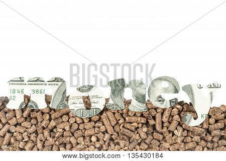 Pressed pallet with of hundred dollar banknotes carved the word money in the foreground with space for text on top isolated on white background